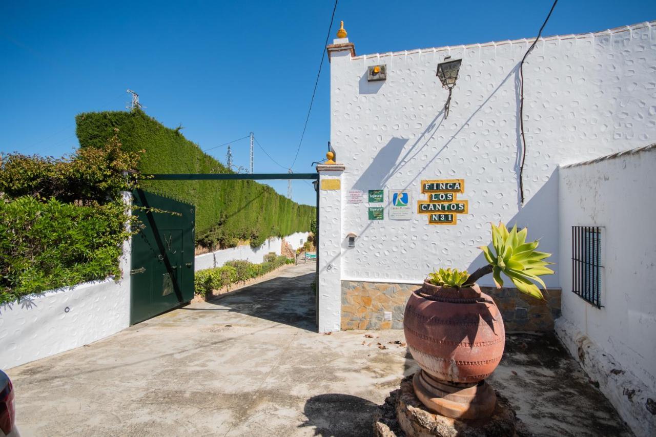 Tu Villa Rural Cortijo Los Cantos 7 Dormitorios Piscina Privada Алаурін-ель-Гранде Екстер'єр фото